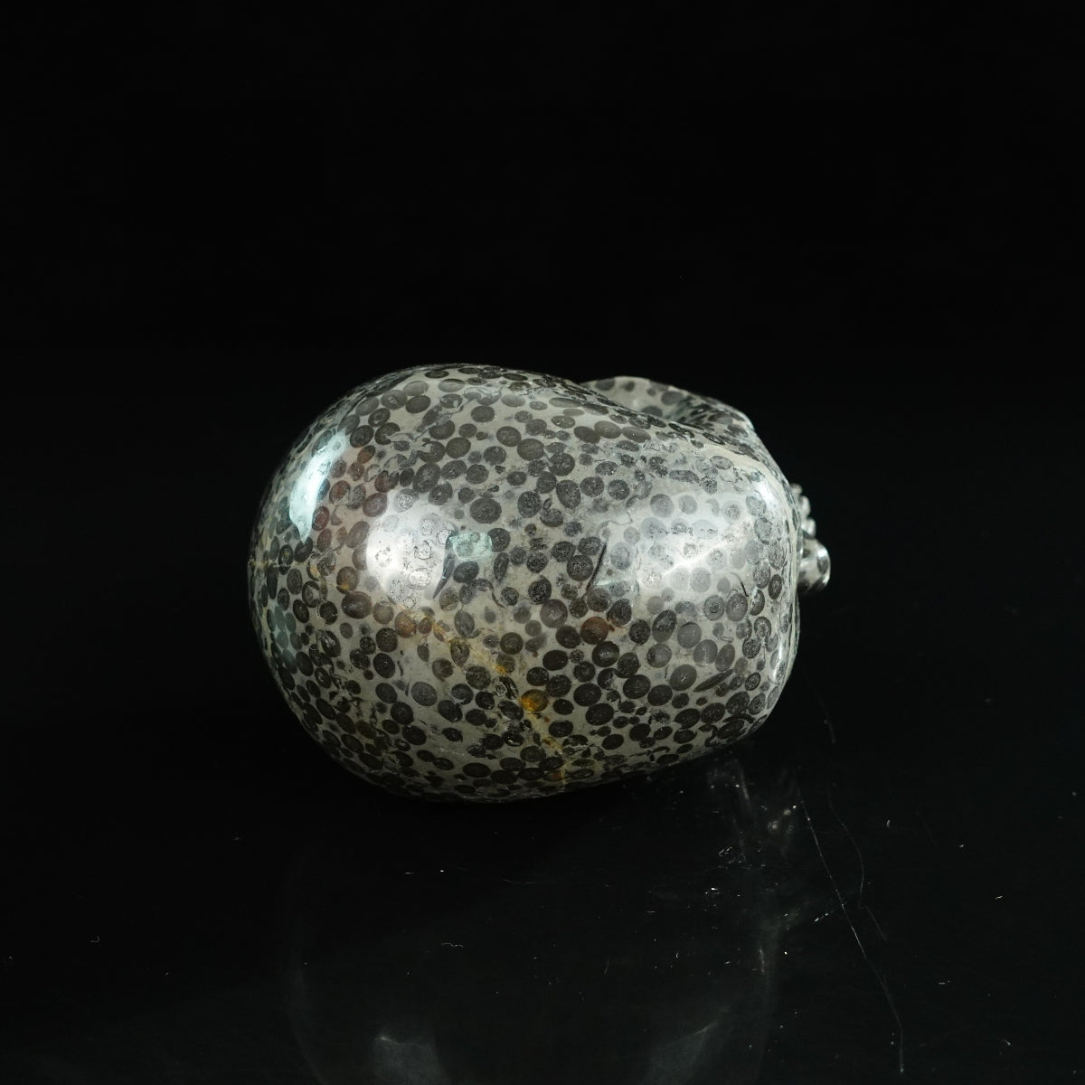 4.5" Leopard skin jasper Crystal Skull Carving - Unique Piece #LK03