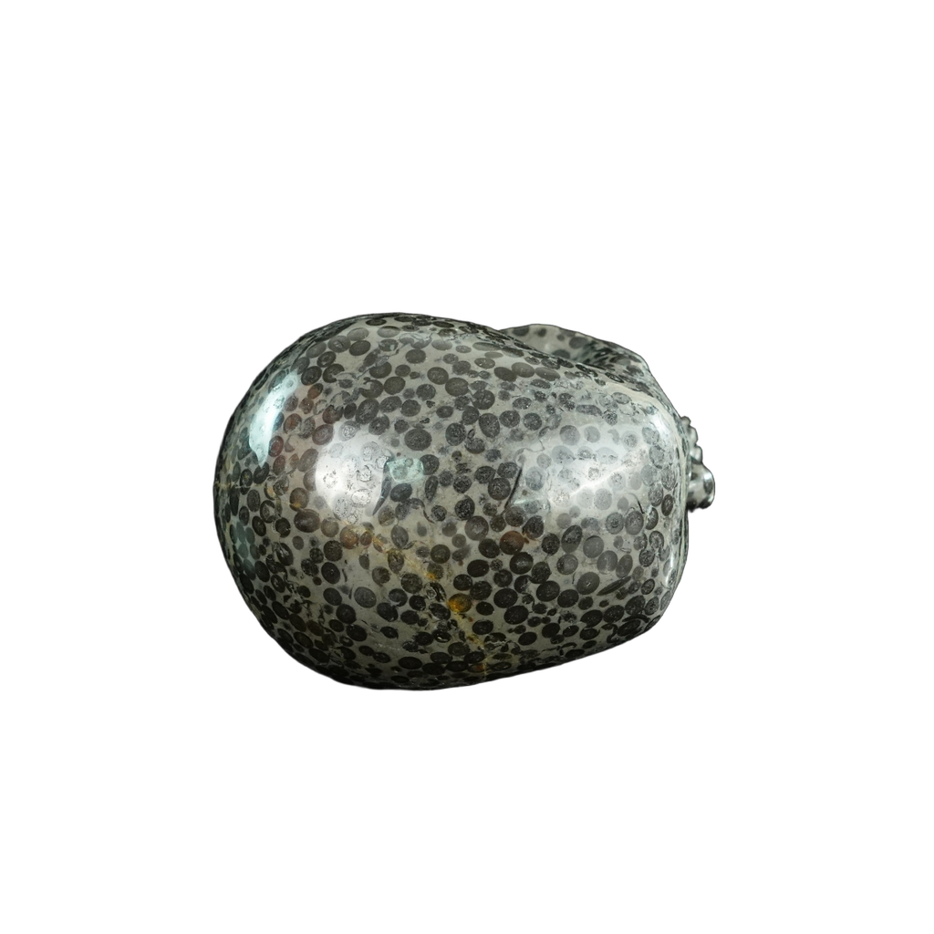 4.5" Leopard skin jasper Crystal Skull Carving - Unique Piece #LK03
