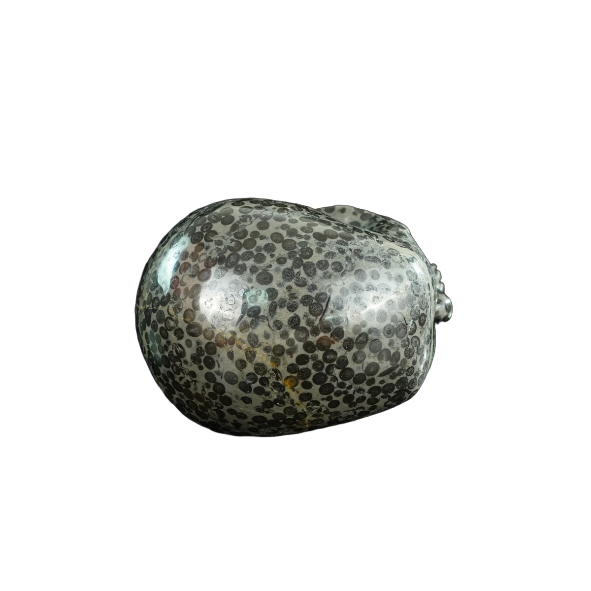 4.5" Leopard skin jasper Crystal Skull Carving - Unique Piece #LK03