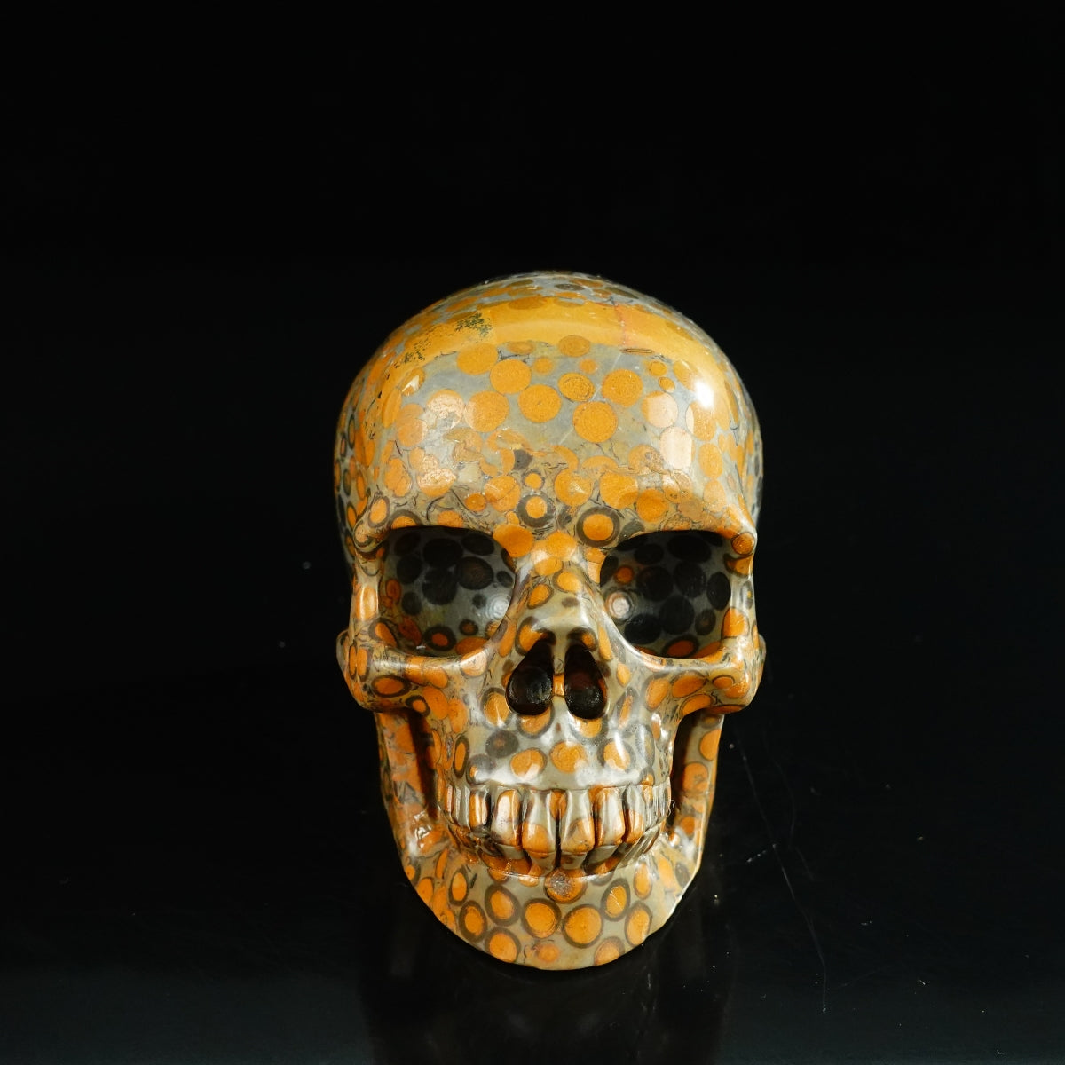 4.5" Leopard skin jasper Crystal Skull Carving - Unique Piece #LK04