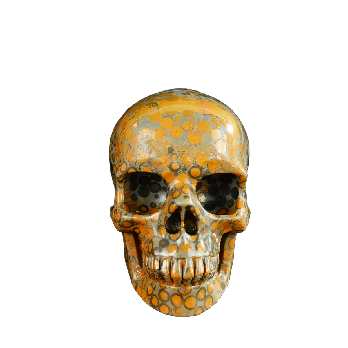4.5" Leopard skin jasper Crystal Skull Carving - Unique Piece #LK04