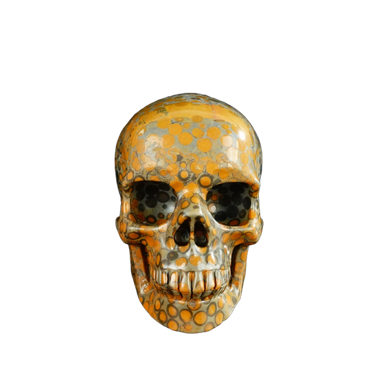 4.5" Leopard skin jasper Crystal Skull Carving - Unique Piece #LK04
