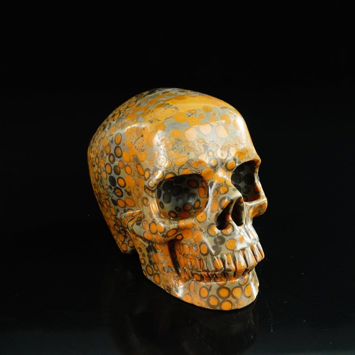 4.5" Leopard skin jasper Crystal Skull Carving - Unique Piece #LK04