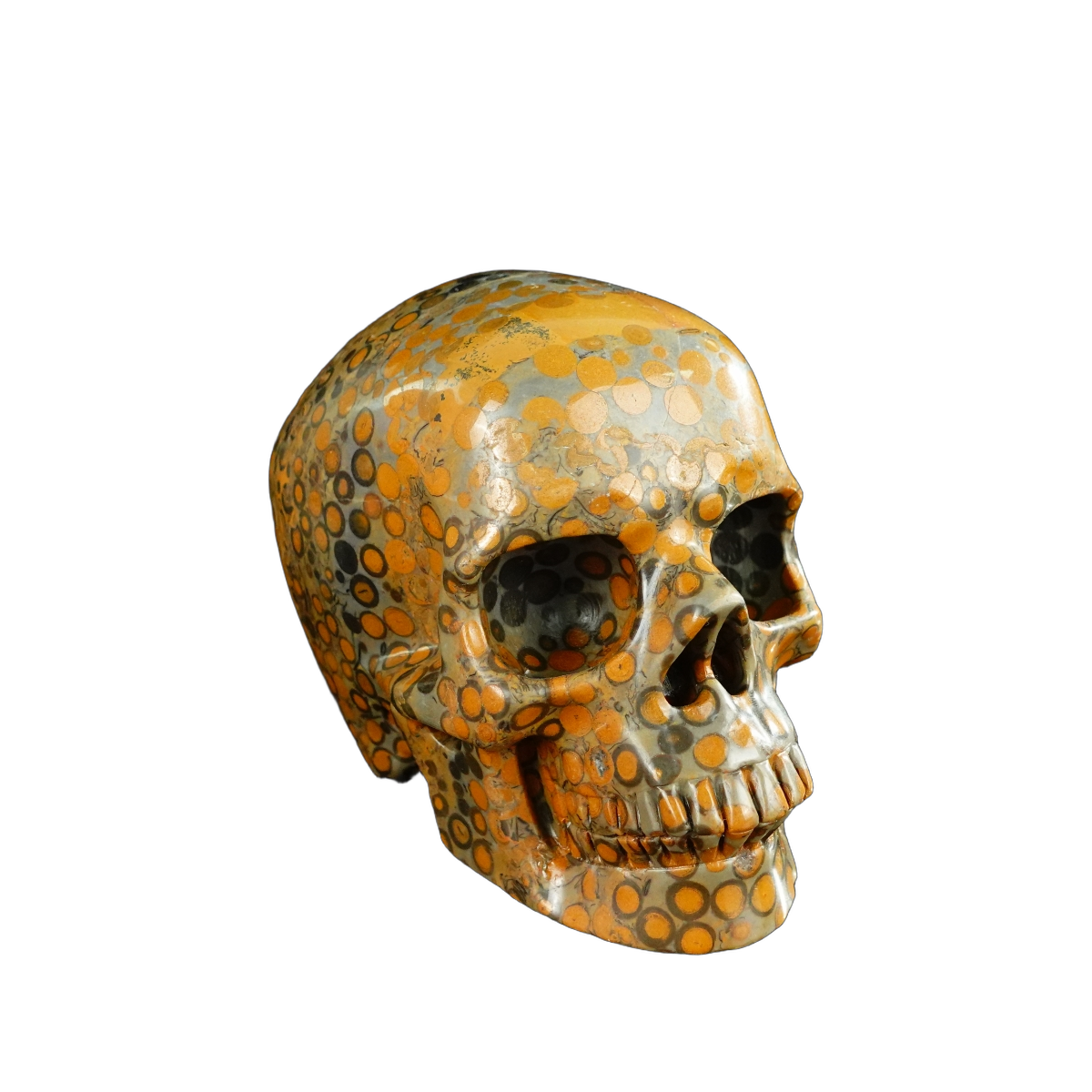 4.5" Leopard skin jasper Crystal Skull Carving - Unique Piece #LK04