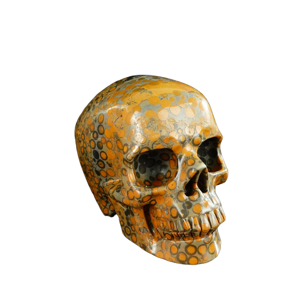 4.5" Leopard skin jasper Crystal Skull Carving - Unique Piece #LK04 - alternate view