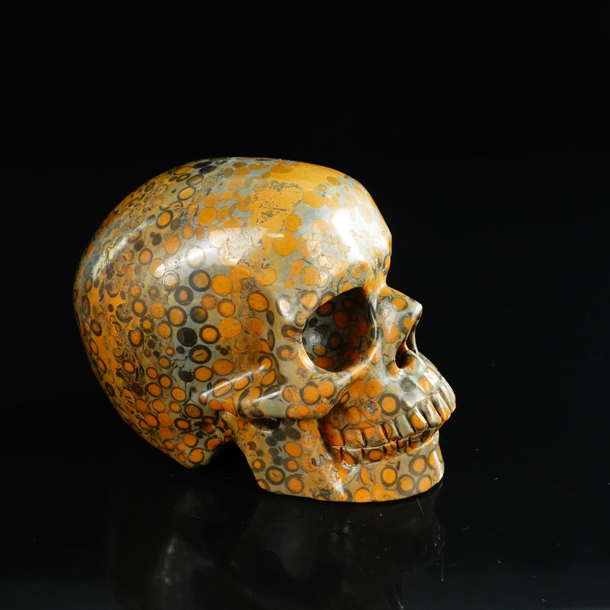 4.5" Leopard skin jasper Crystal Skull Carving - Unique Piece #LK04