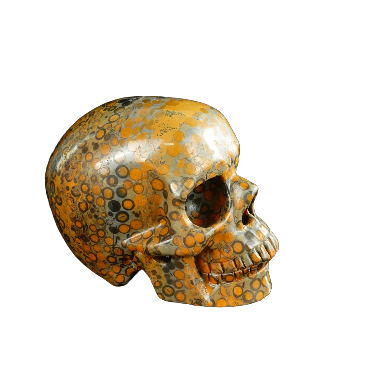 4.5" Leopard skin jasper Crystal Skull Carving - Unique Piece #LK04