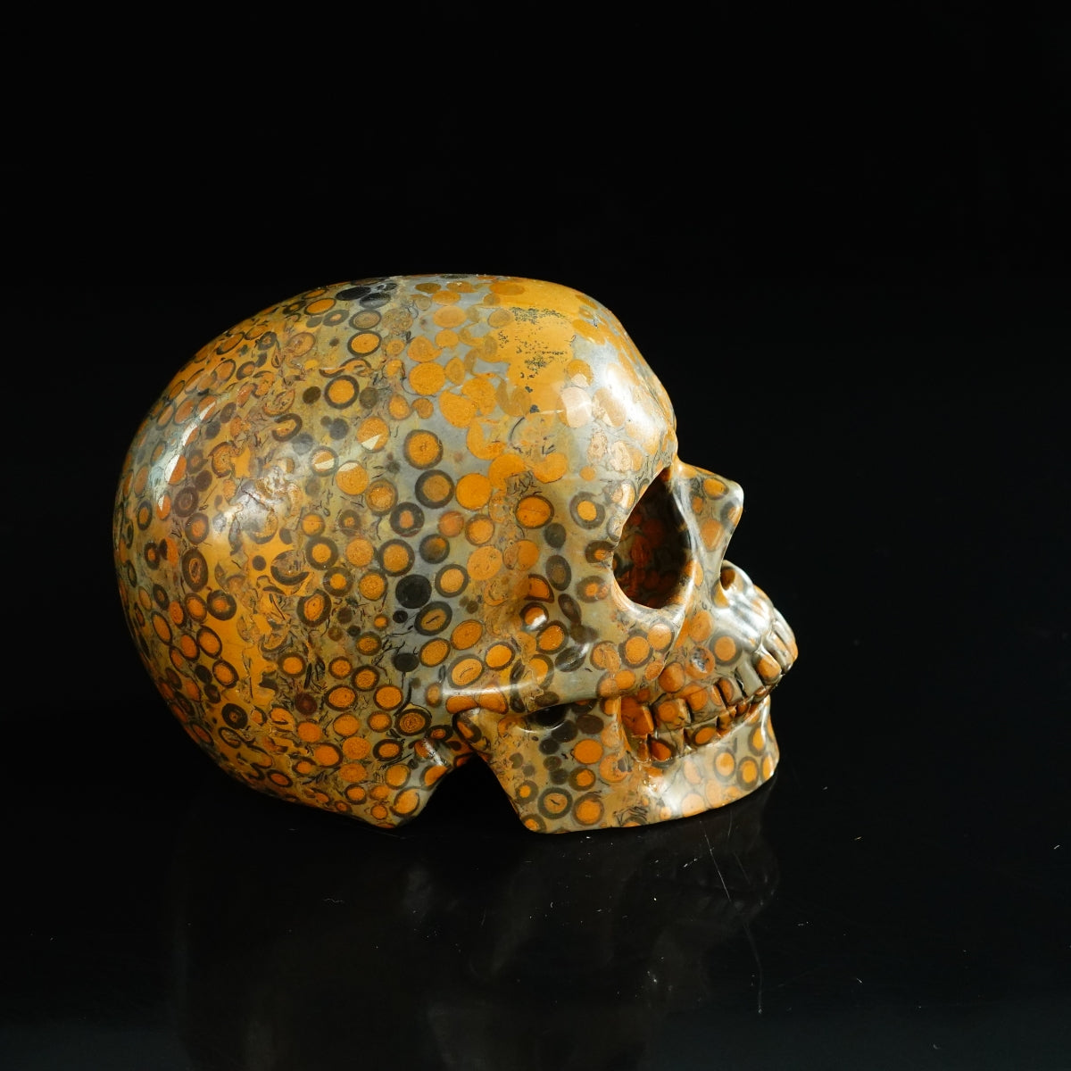 4.5" Leopard skin jasper Crystal Skull Carving - Unique Piece #LK04