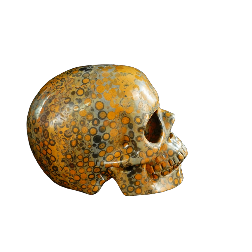 4.5" Leopard skin jasper Crystal Skull Carving - Unique Piece #LK04