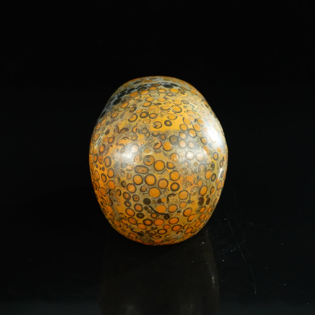 4.5" Leopard skin jasper Crystal Skull Carving - Unique Piece #LK04