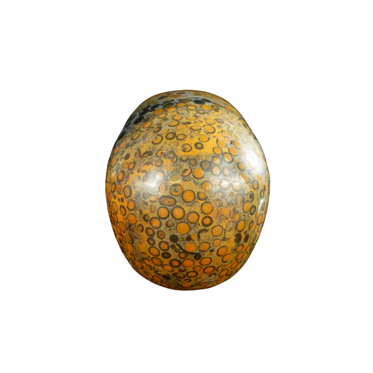 4.5" Leopard skin jasper Crystal Skull Carving - Unique Piece #LK04