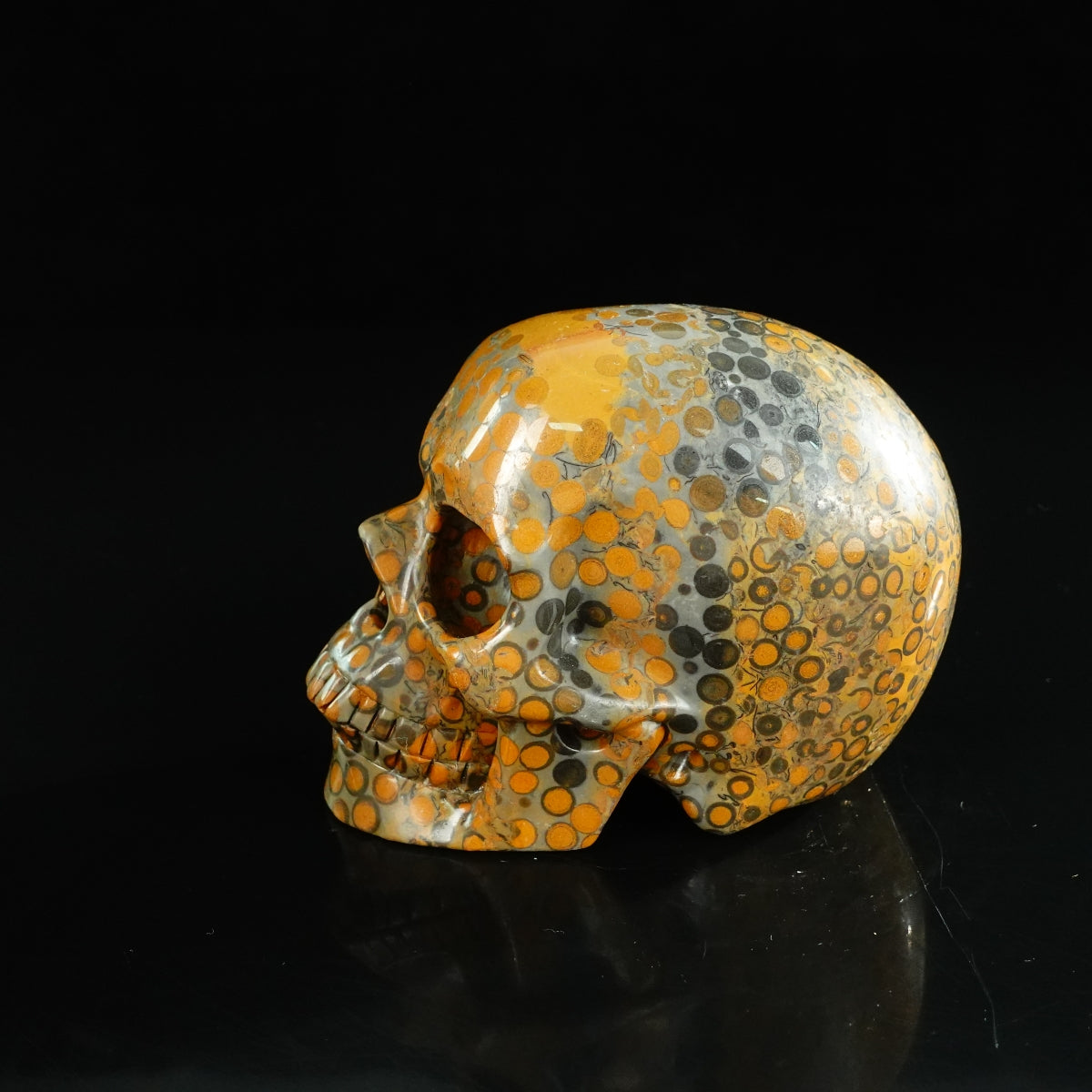 4.5" Leopard skin jasper Crystal Skull Carving - Unique Piece #LK04
