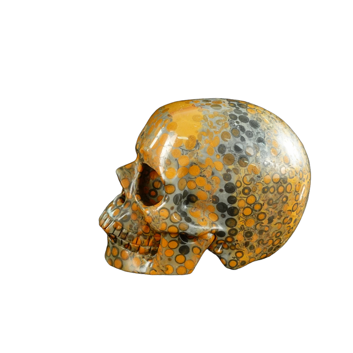 4.5" Leopard skin jasper Crystal Skull Carving - Unique Piece #LK04