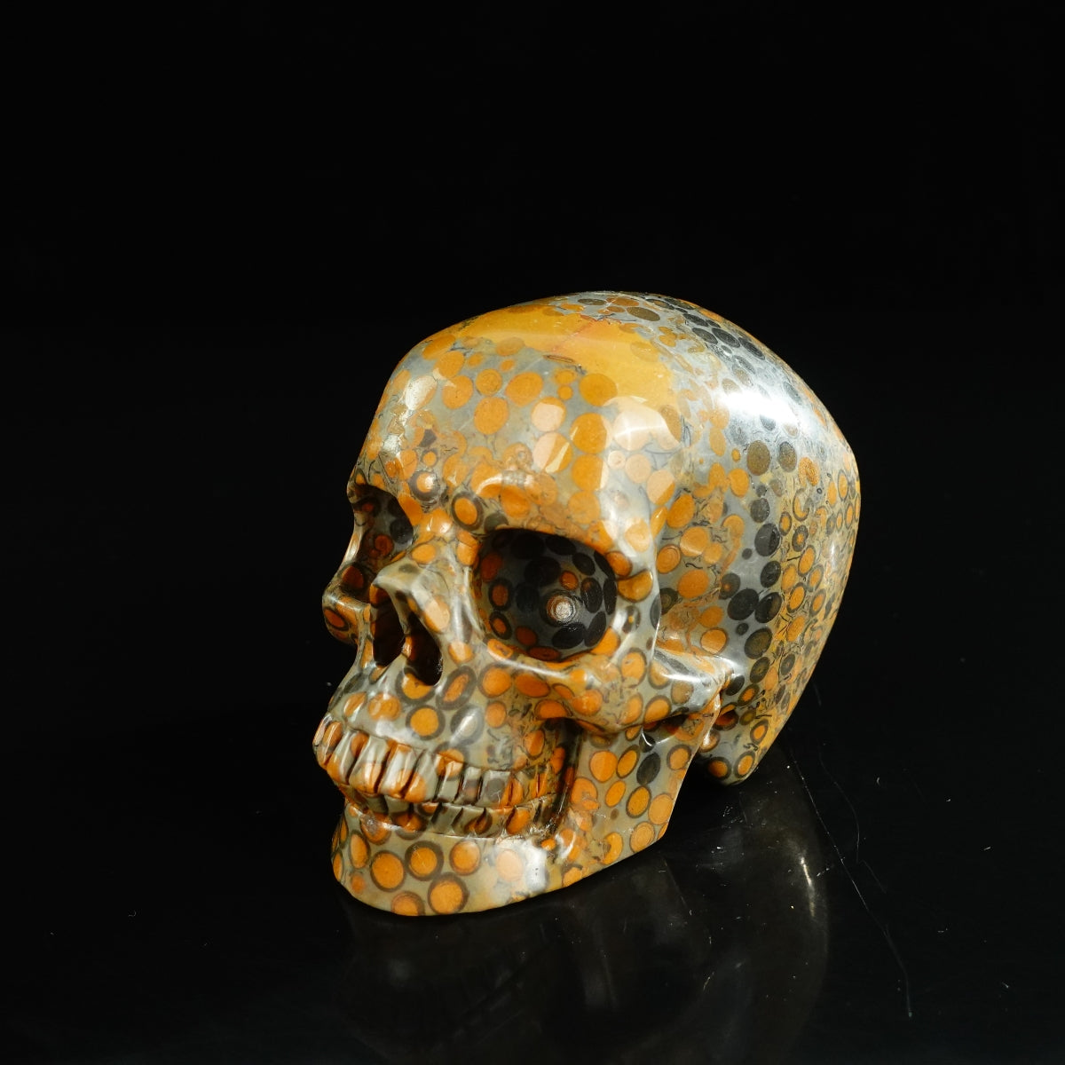 4.5" Leopard skin jasper Crystal Skull Carving - Unique Piece #LK04