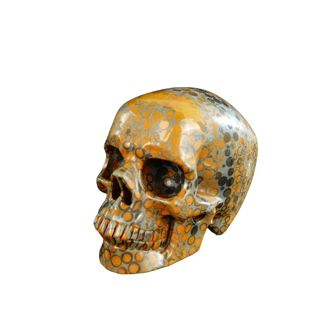 4.5" Leopard skin jasper Crystal Skull Carving - Unique Piece #LK04