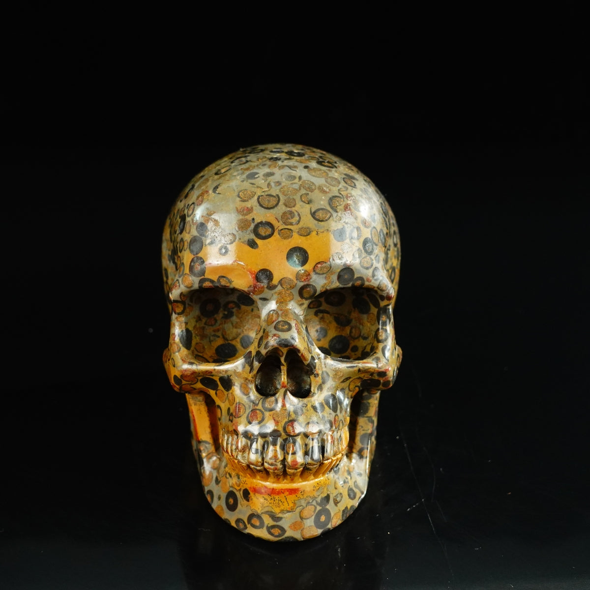 4.5" Leopard skin jasper Crystal Skull Carving - Unique Piece #LK05