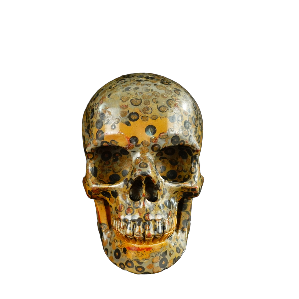 4.5" Leopard skin jasper Crystal Skull Carving - Unique Piece #LK05