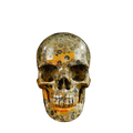 4.5" Leopard skin jasper Crystal Skull Carving - Unique Piece #LK05