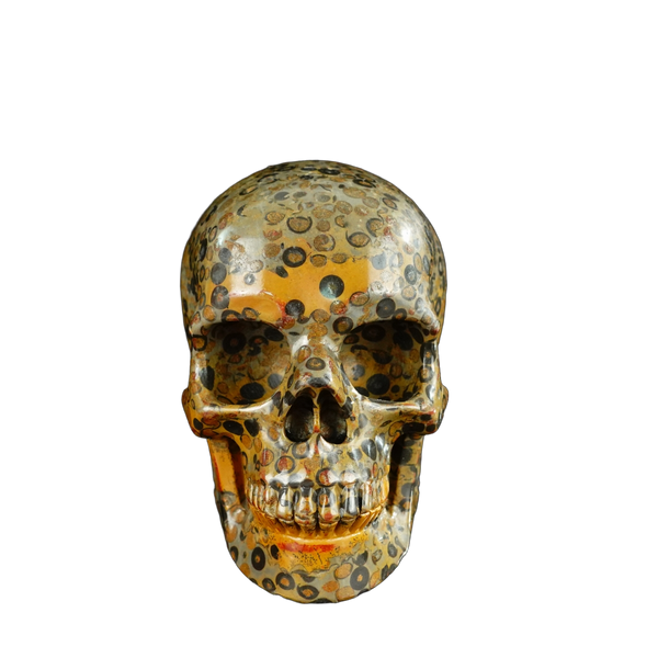 4.5" Leopard skin jasper Crystal Skull Carving - Unique Piece #LK05