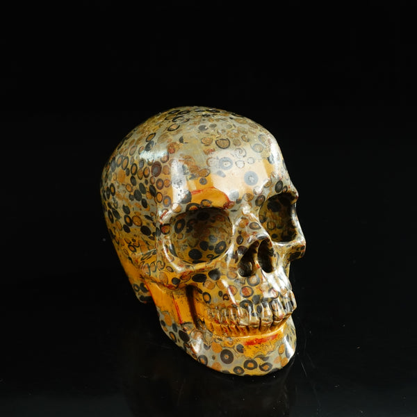 4.5" Leopard skin jasper Crystal Skull Carving - Unique Piece #LK05 - alternate view
