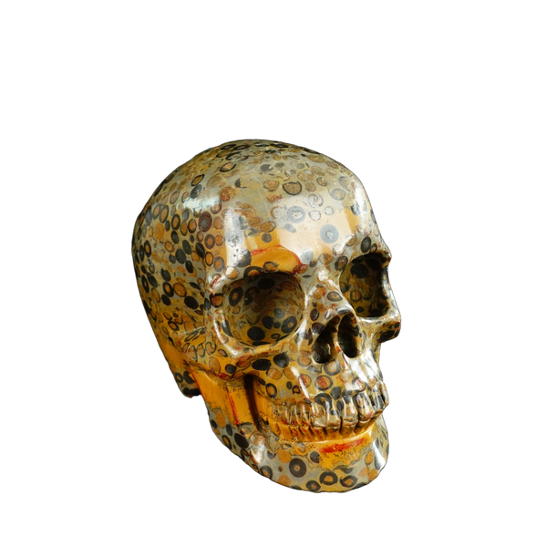 4.5" Leopard skin jasper Crystal Skull Carving - Unique Piece #LK05 - alternate view