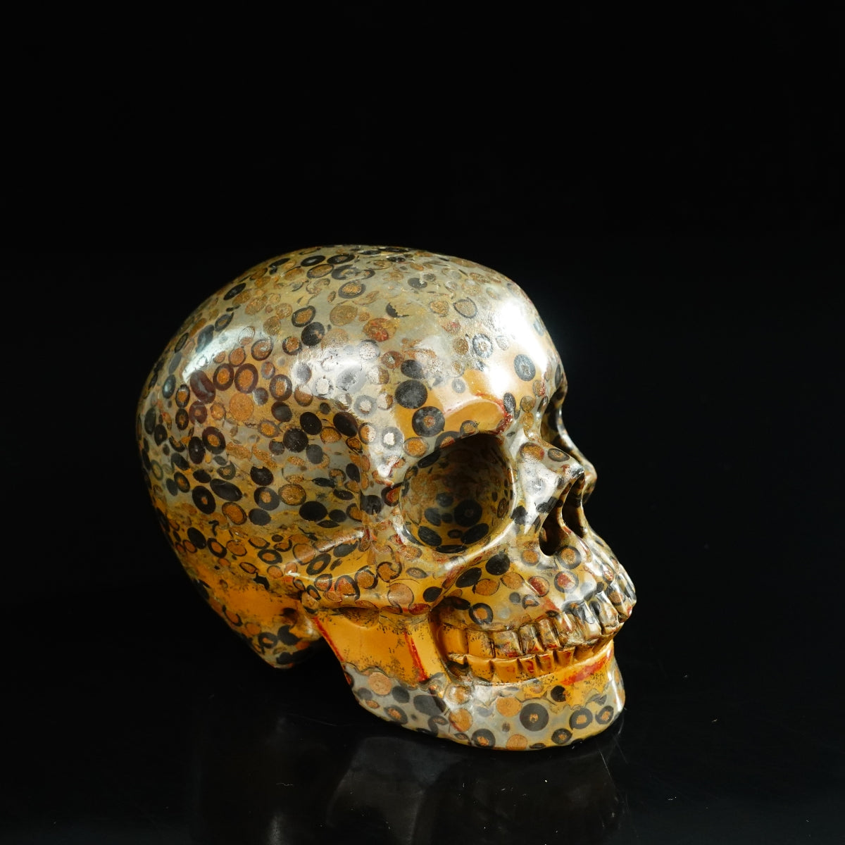 4.5" Leopard skin jasper Crystal Skull Carving - Unique Piece #LK05