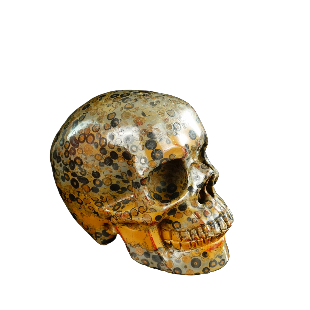 4.5" Leopard skin jasper Crystal Skull Carving - Unique Piece #LK05