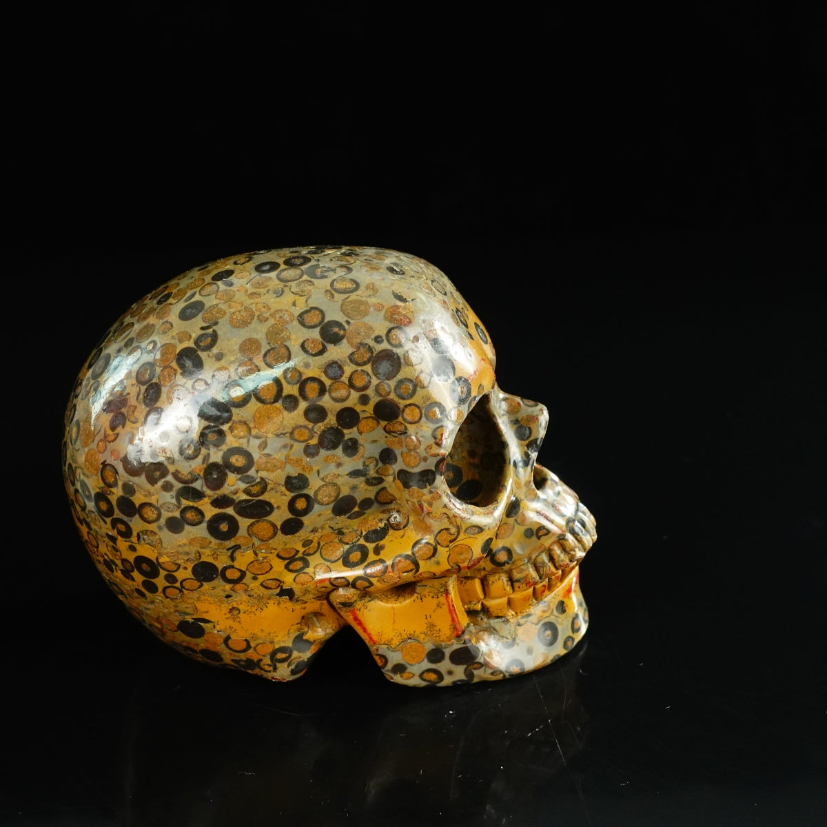 4.5" Leopard skin jasper Crystal Skull Carving - Unique Piece #LK05