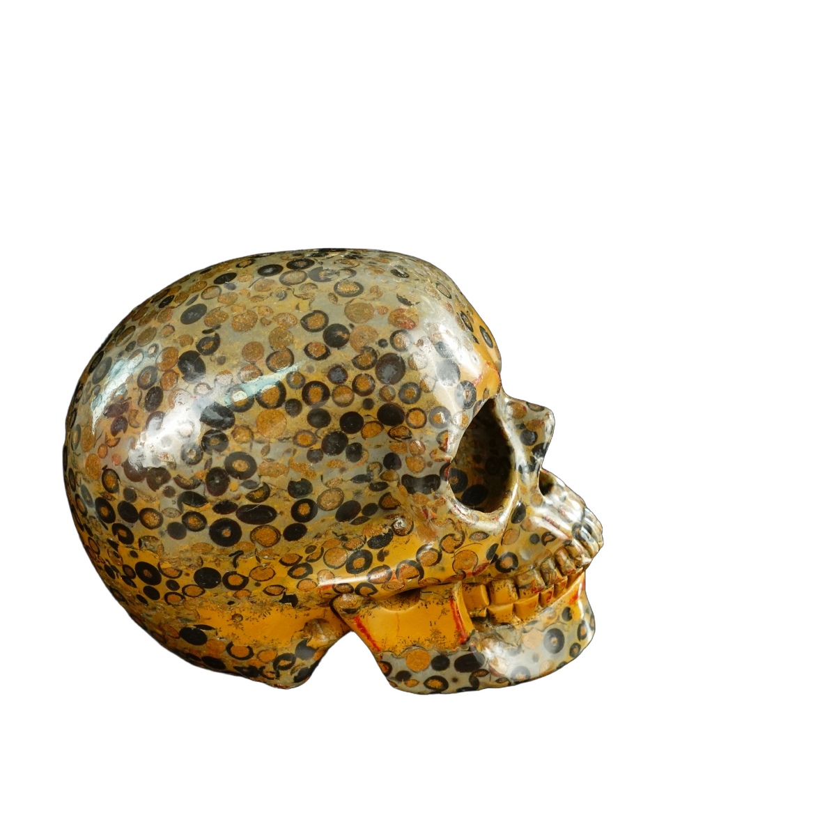 4.5" Leopard skin jasper Crystal Skull Carving - Unique Piece #LK05