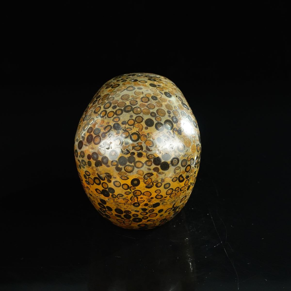 4.5" Leopard skin jasper Crystal Skull Carving - Unique Piece #LK05