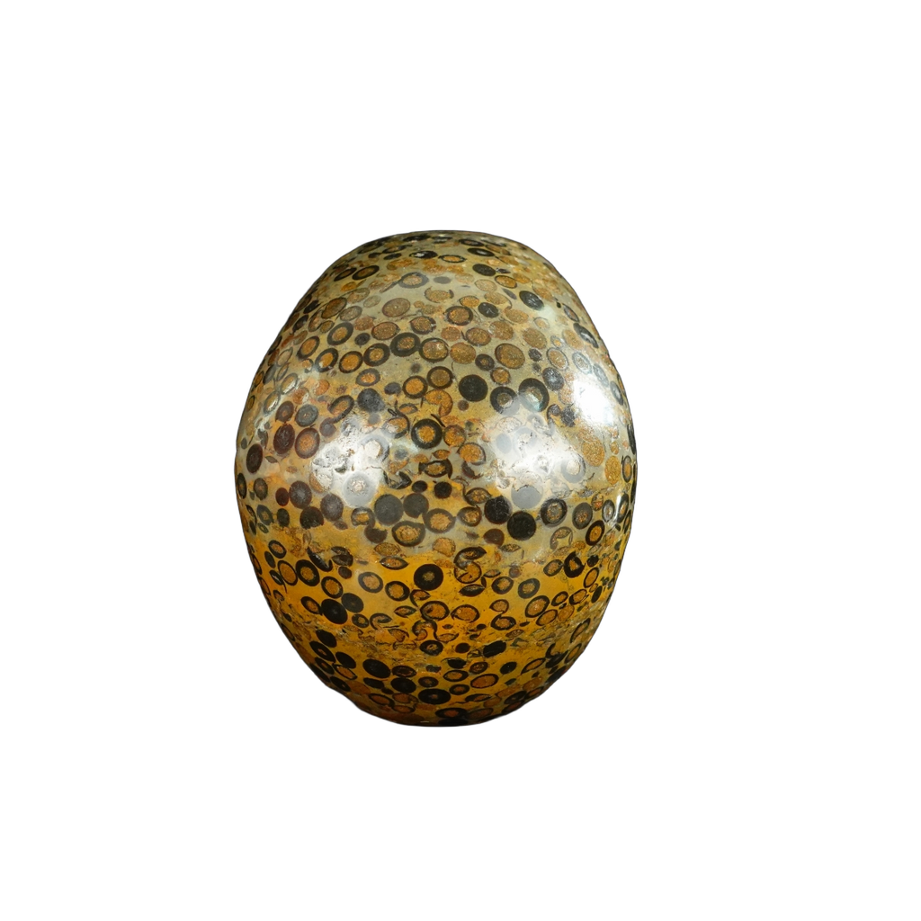 4.5" Leopard skin jasper Crystal Skull Carving - Unique Piece #LK05