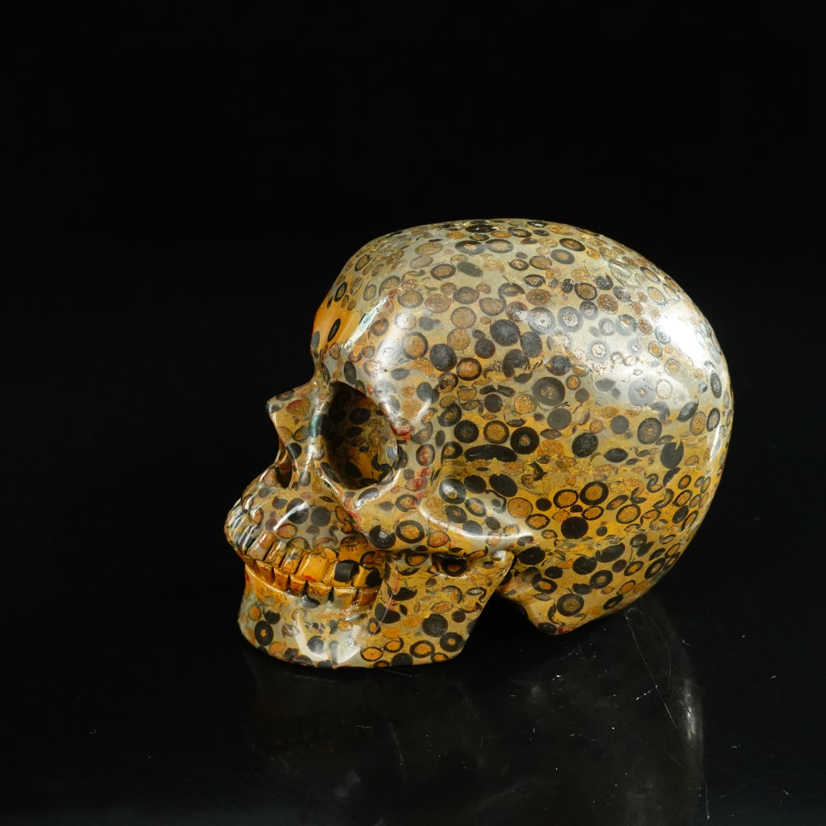 4.5" Leopard skin jasper Crystal Skull Carving - Unique Piece #LK05