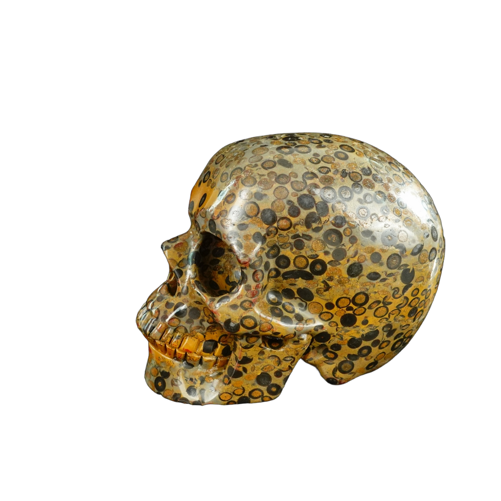 4.5" Leopard skin jasper Crystal Skull Carving - Unique Piece #LK05