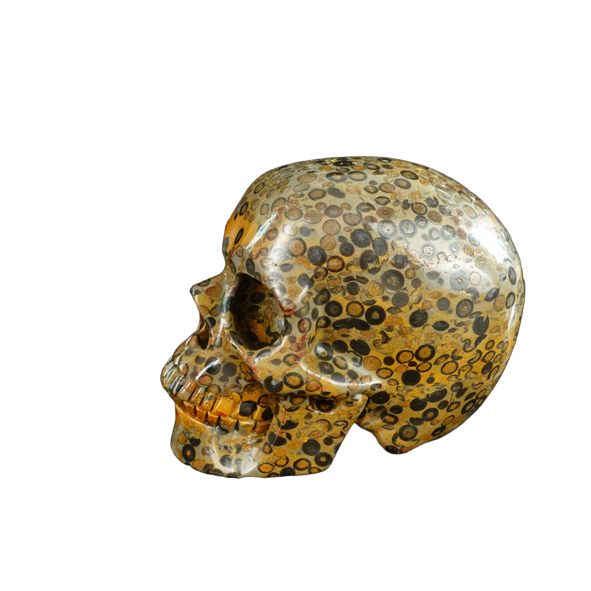 4.5" Leopard skin jasper Crystal Skull Carving - Unique Piece #LK05