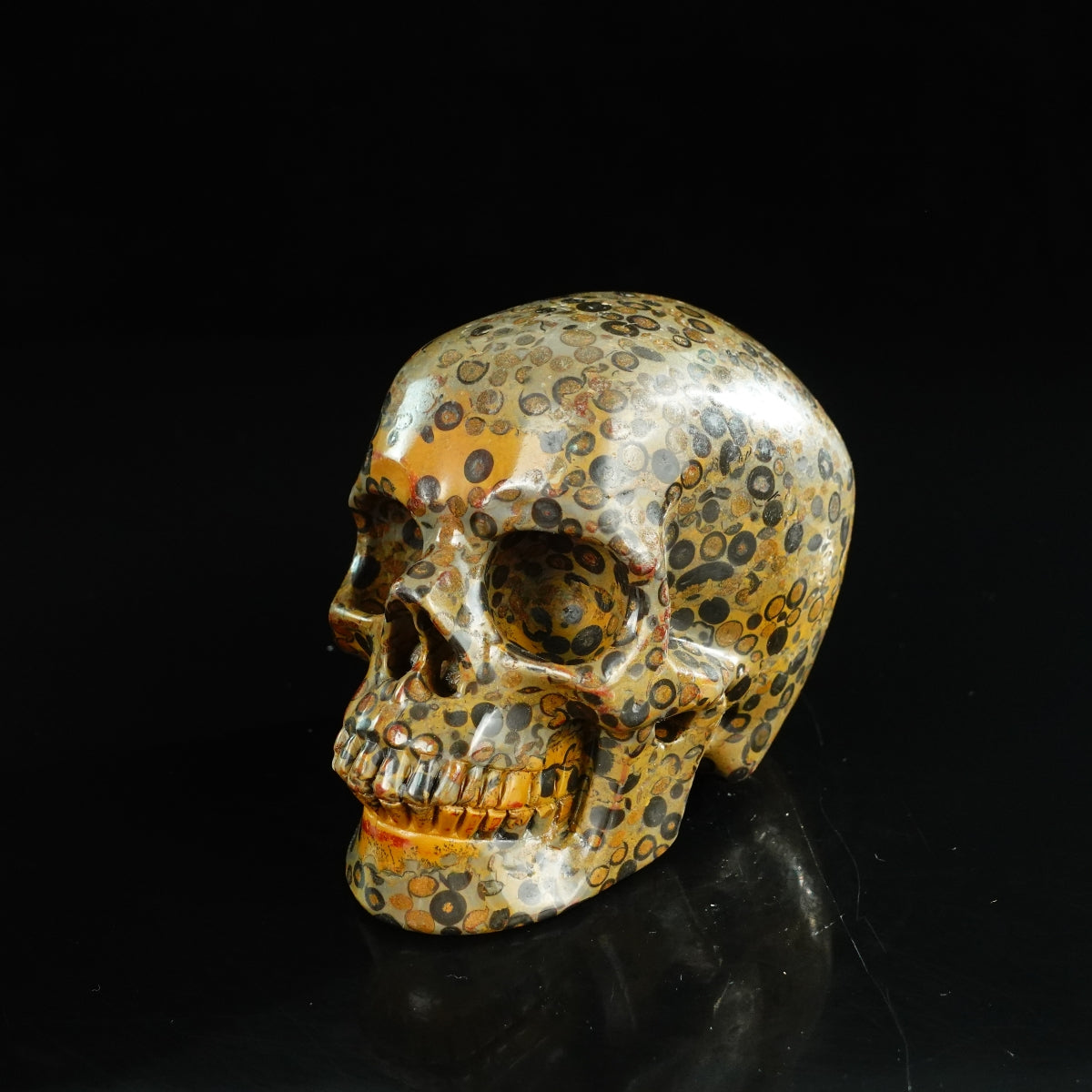 4.5" Leopard skin jasper Crystal Skull Carving - Unique Piece #LK05