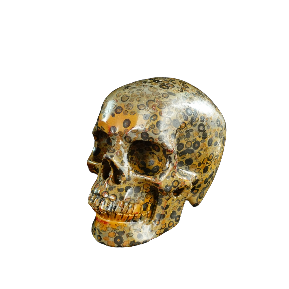 4.5" Leopard skin jasper Crystal Skull Carving - Unique Piece #LK05