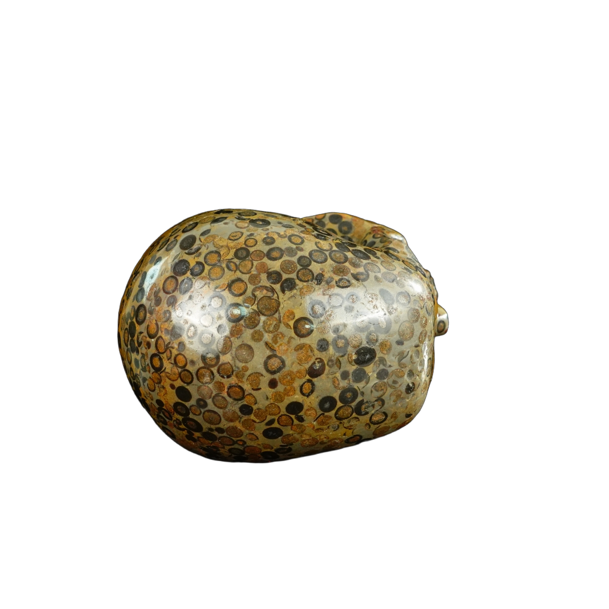 4.5" Leopard skin jasper Crystal Skull Carving - Unique Piece #LK05