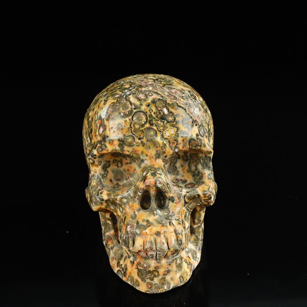 4.5" Red Leopard skin stone Crystal Skull Carving - Unique Piece #LS01