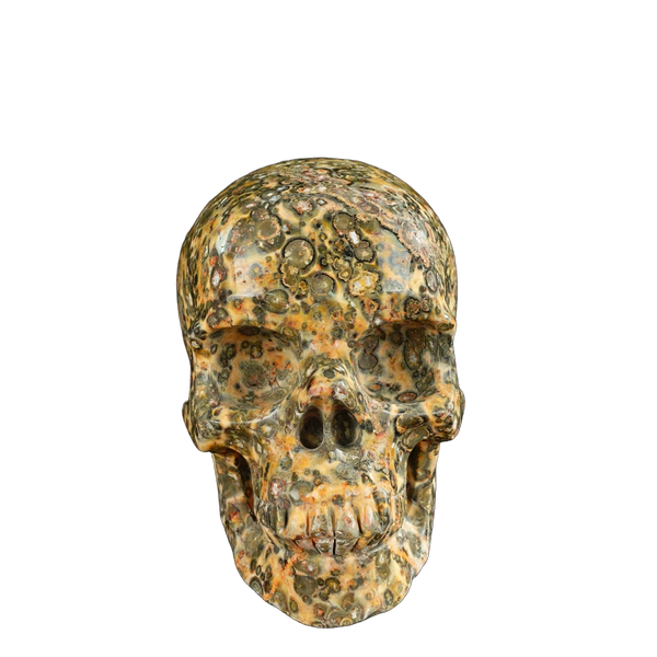 4.5" Red Leopard skin stone Crystal Skull Carving - Unique Piece #LS01