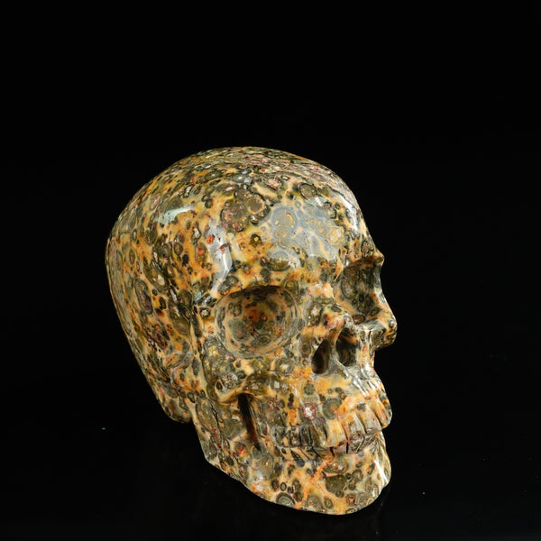 4.5" Red Leopard skin stone Crystal Skull Carving - Unique Piece #LS01 - alternate view