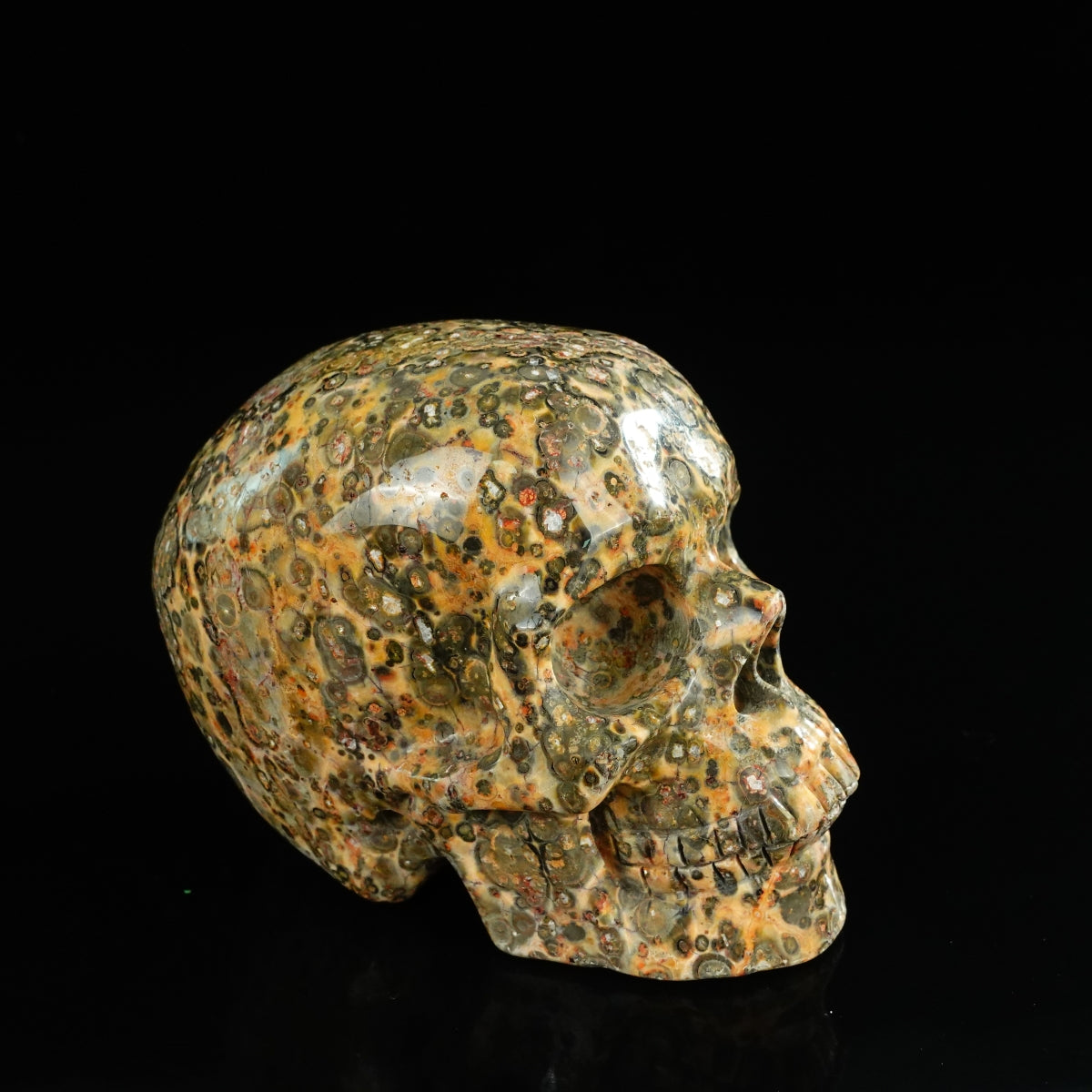 4.5" Red Leopard skin stone Crystal Skull Carving - Unique Piece #LS01