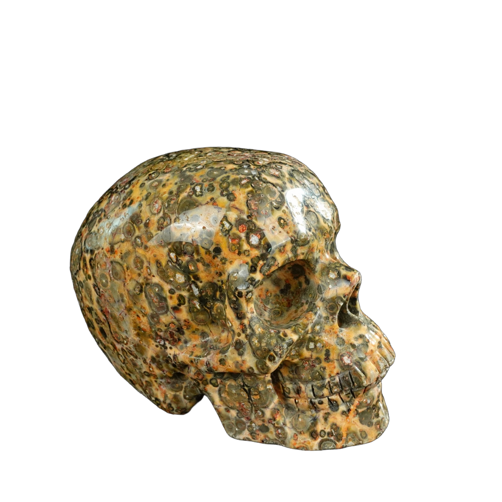4.5" Red Leopard skin stone Crystal Skull Carving - Unique Piece #LS01