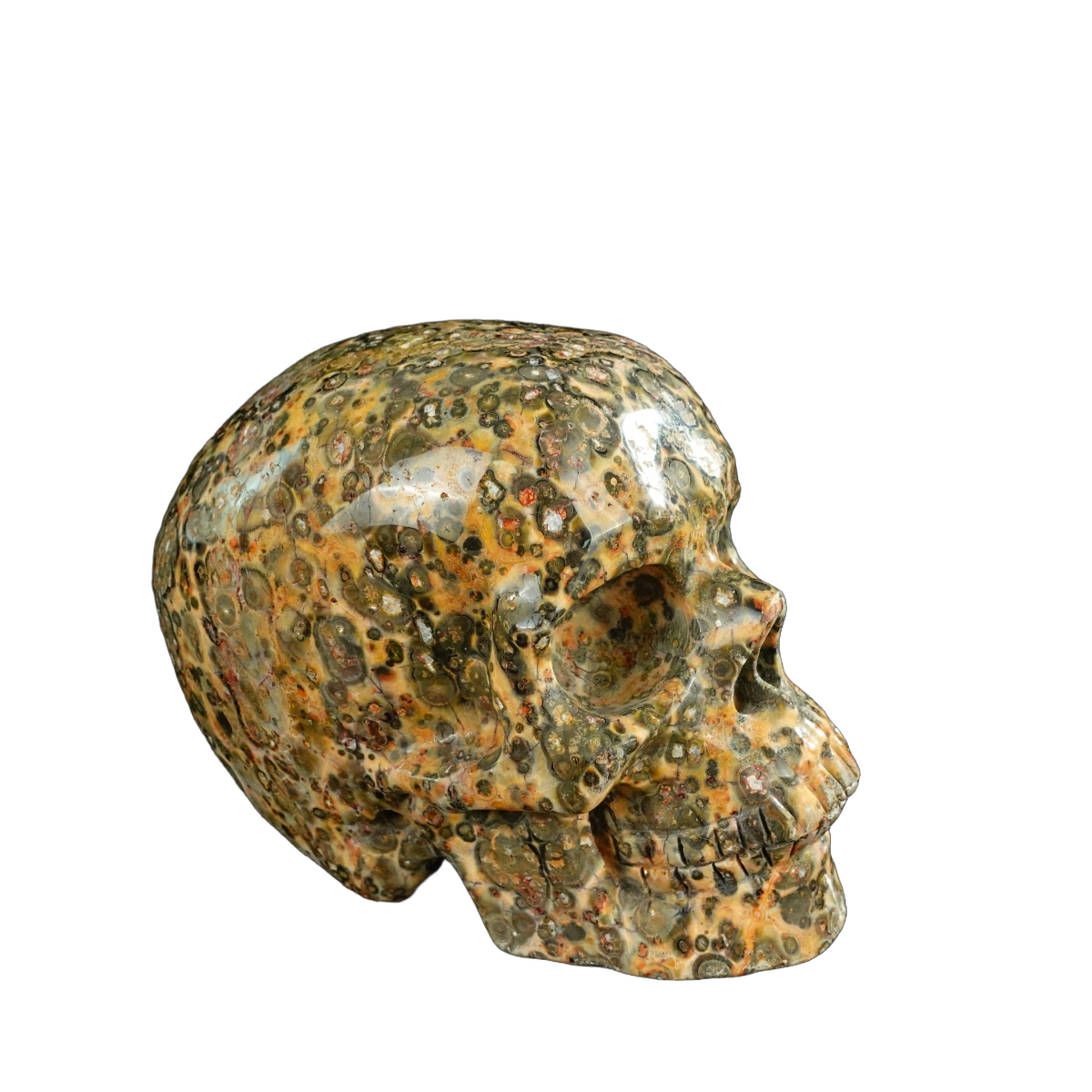 4.5" Red Leopard skin stone Crystal Skull Carving - Unique Piece #LS01