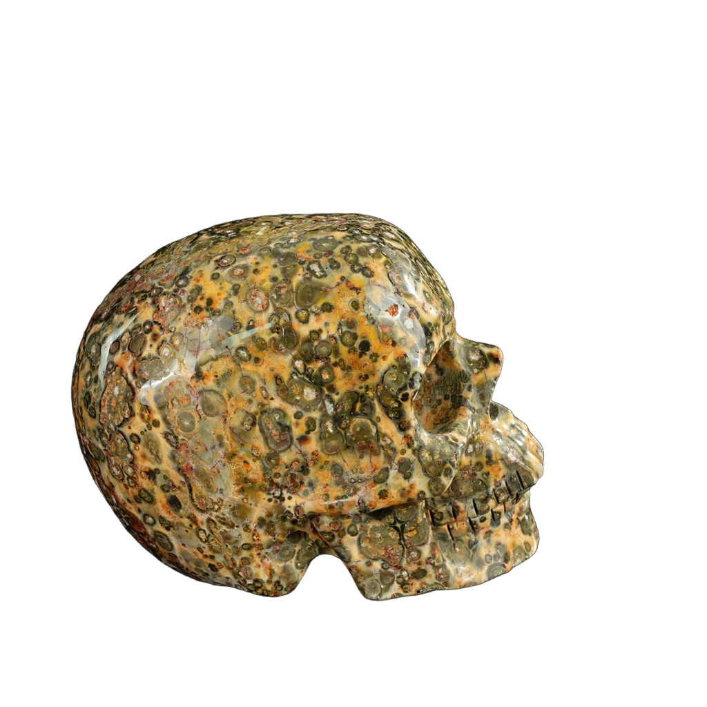 4.5" Red Leopard skin stone Crystal Skull Carving - Unique Piece #LS01