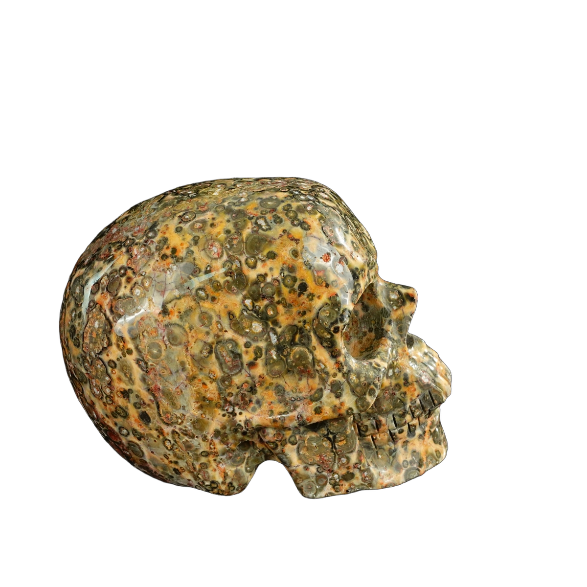 4.5" Red Leopard skin stone Crystal Skull Carving - Unique Piece #LS01