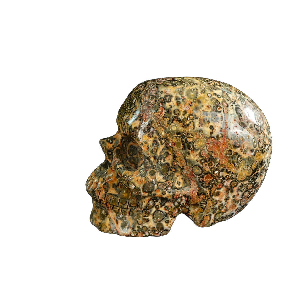 4.5" Red Leopard skin stone Crystal Skull Carving - Unique Piece #LS01