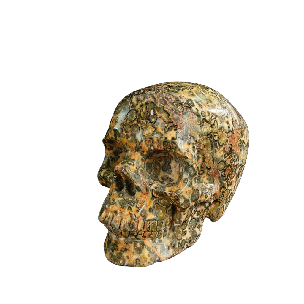 4.5" Red Leopard skin stone Crystal Skull Carving - Unique Piece #LS01