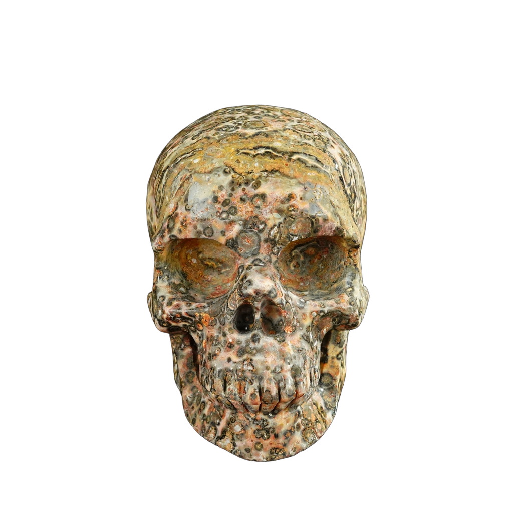 4.5" Red Leopard skin stone Crystal Skull Carving - Unique Piece #LS02