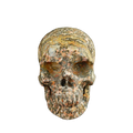 4.5" Red Leopard skin stone Crystal Skull Carving - Unique Piece #LS02