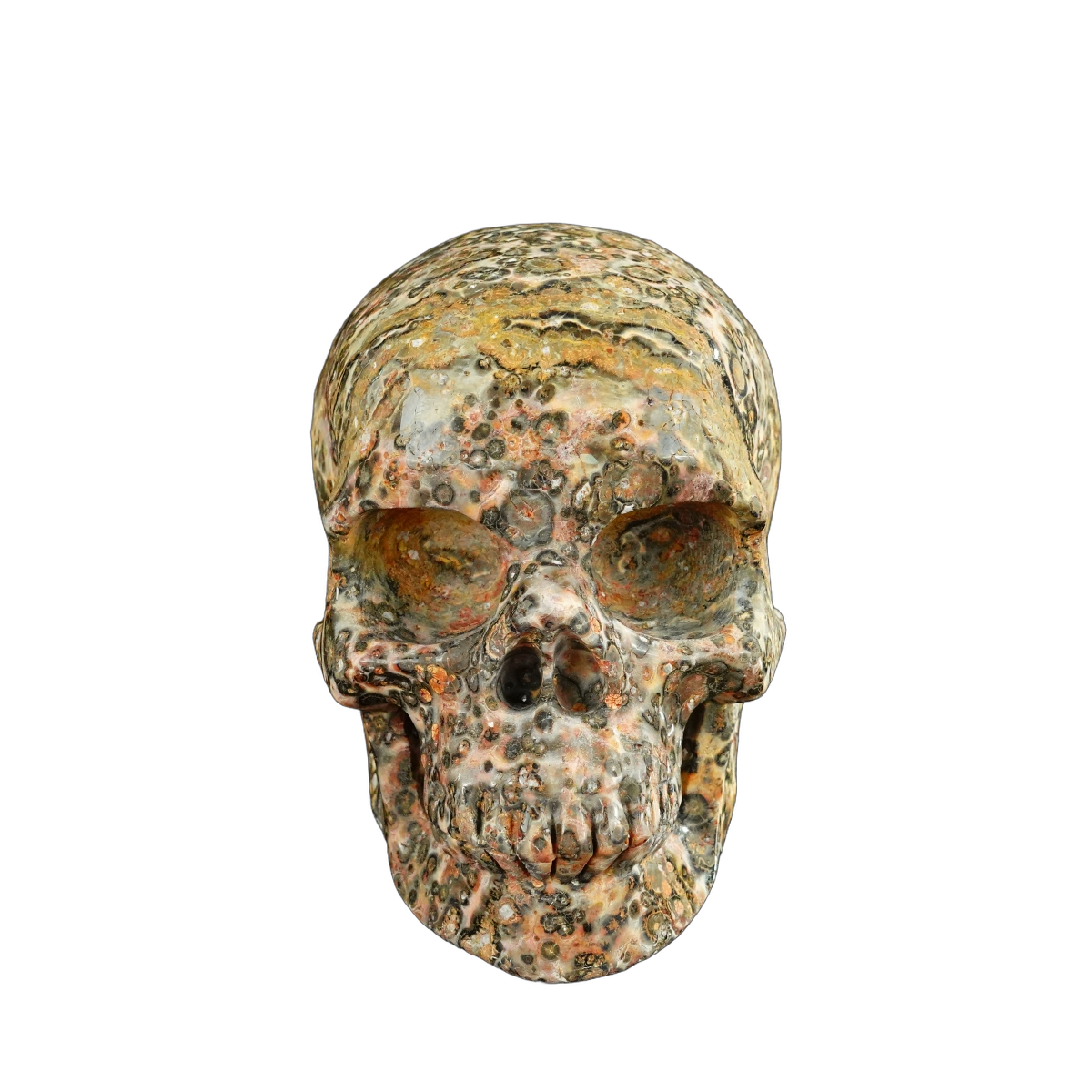 4.5" Red Leopard skin stone Crystal Skull Carving - Unique Piece #LS02